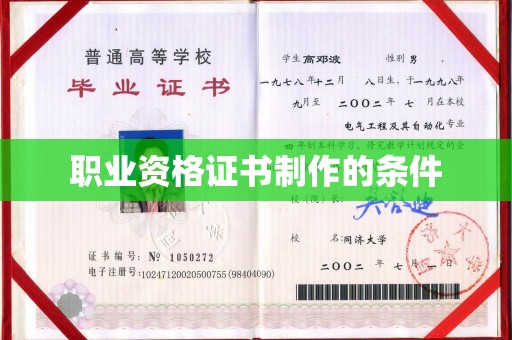 大通职业资格证书制作的条件