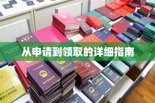 大通从申请到领取的详细指南