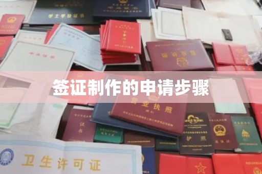 大通签证制作的申请步骤