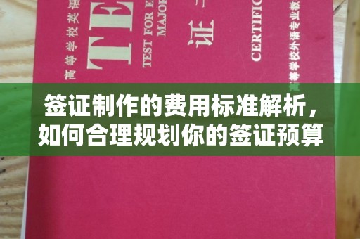 大通签证制作的费用标准解析，如何合理规划你的签证预算