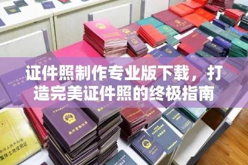 大通证件照制作专业版下载，打造完美证件照的终极指南