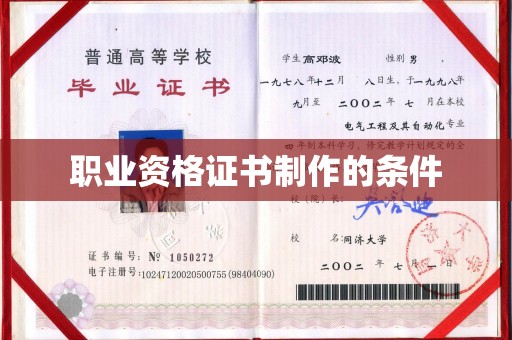 大通职业资格证书制作的条件