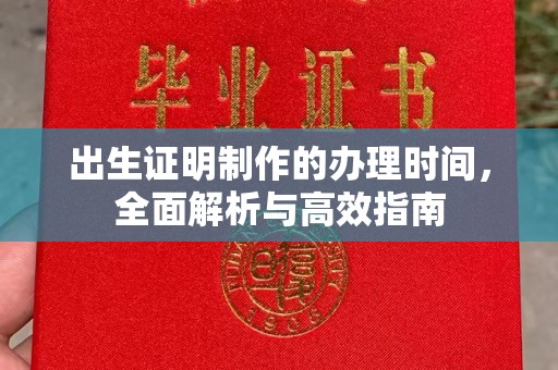 大通出生证明制作的办理时间，全面解析与高效指南