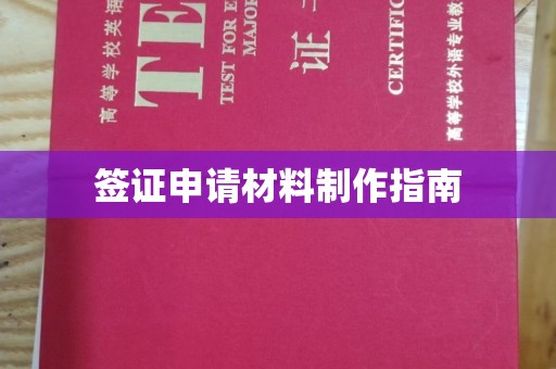 大通签证申请材料制作指南