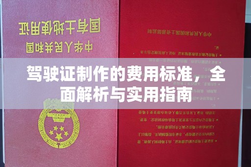 大通驾驶证制作的费用标准，全面解析与实用指南