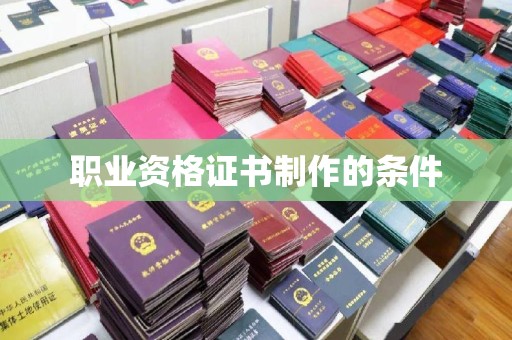 大通职业资格证书制作的条件