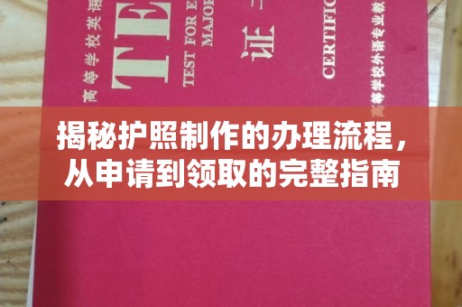 大通揭秘护照制作的办理流程，从申请到领取的完整指南