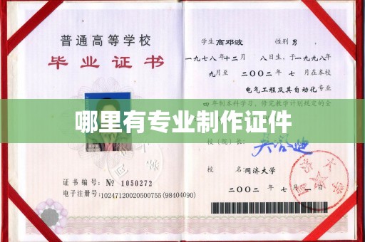 大通哪里有专业制作证件