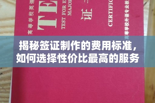 大通揭秘签证制作的费用标准，如何选择性价比最高的服务？
