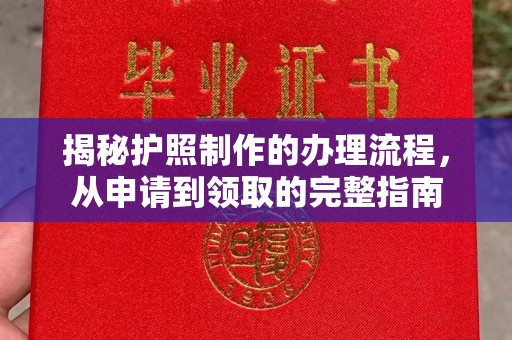 大通揭秘护照制作的办理流程，从申请到领取的完整指南