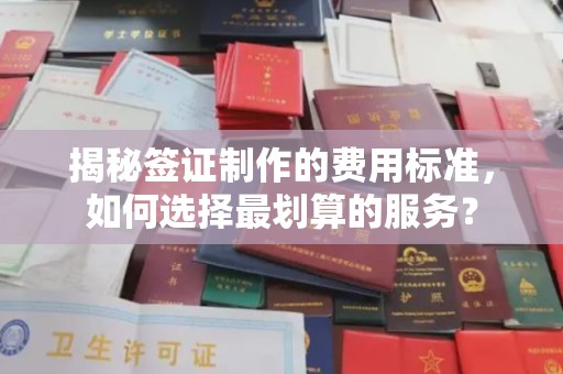 大通揭秘签证制作的费用标准，如何选择最划算的服务？