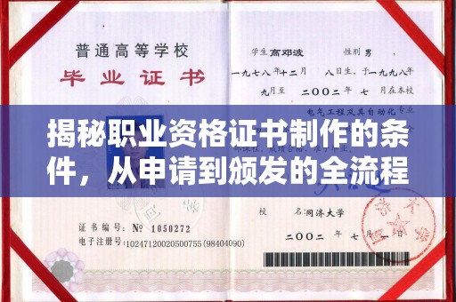 大通揭秘职业资格证书制作的条件，从申请到颁发的全流程解析