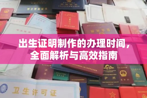 大通出生证明制作的办理时间，全面解析与高效指南
