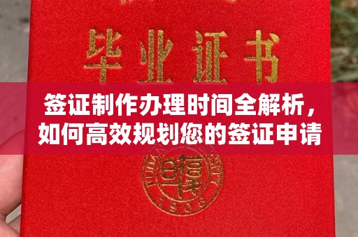 大通签证制作办理时间全解析，如何高效规划您的签证申请流程