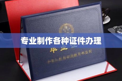 大通专业制作各种证件办理