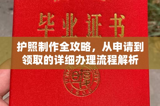 大通护照制作全攻略，从申请到领取的详细办理流程解析