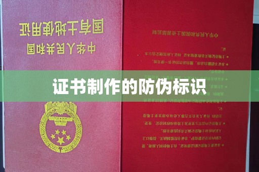 大通证书制作的防伪标识