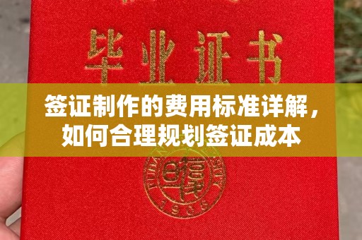 大通签证制作的费用标准详解，如何合理规划签证成本