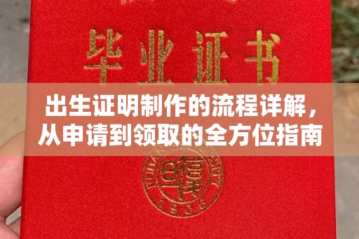 大通出生证明制作的流程详解，从申请到领取的全方位指南